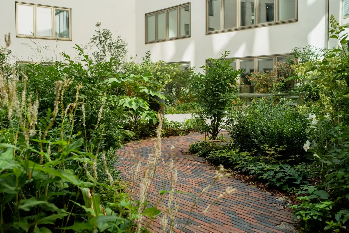 Hackescher Markt Hofgarten Klinkerweg Persicaria Staudensaum
