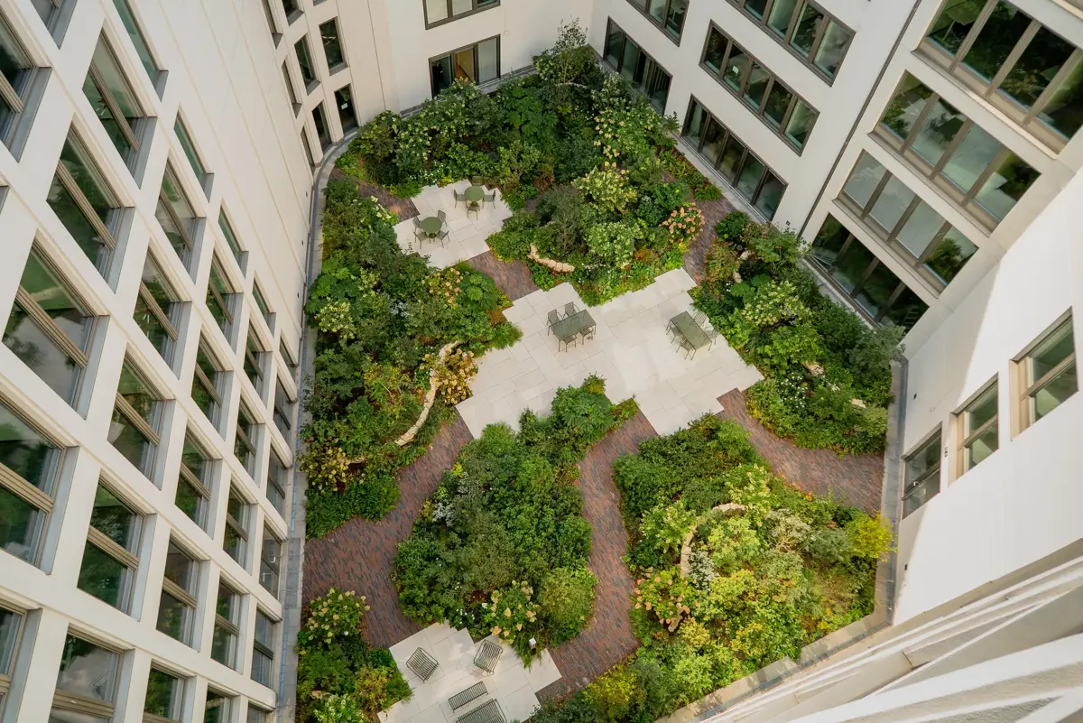Climate resilient courtyard garden at Campus Hackescher Markt in Berlin, aerial view with paths