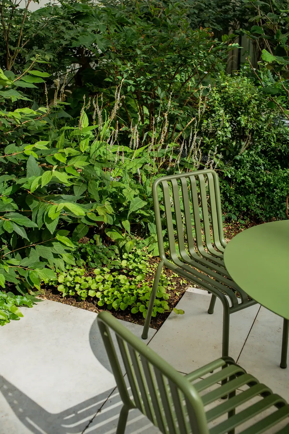 Hackescher Markt Hofgarten Persicaria Bodendecker Sitzplatz