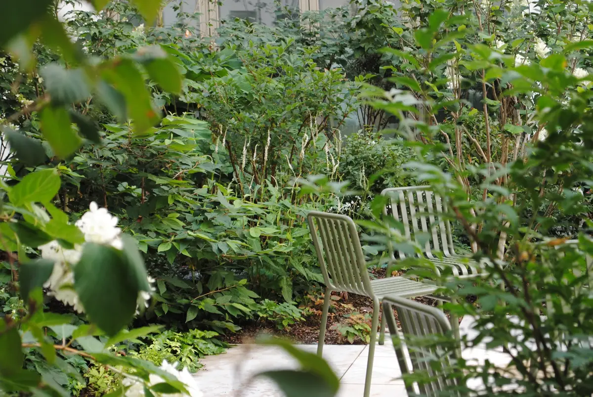 Hackescher Markt Hofgarten Stuehle Strauchpflanzung Durchblick