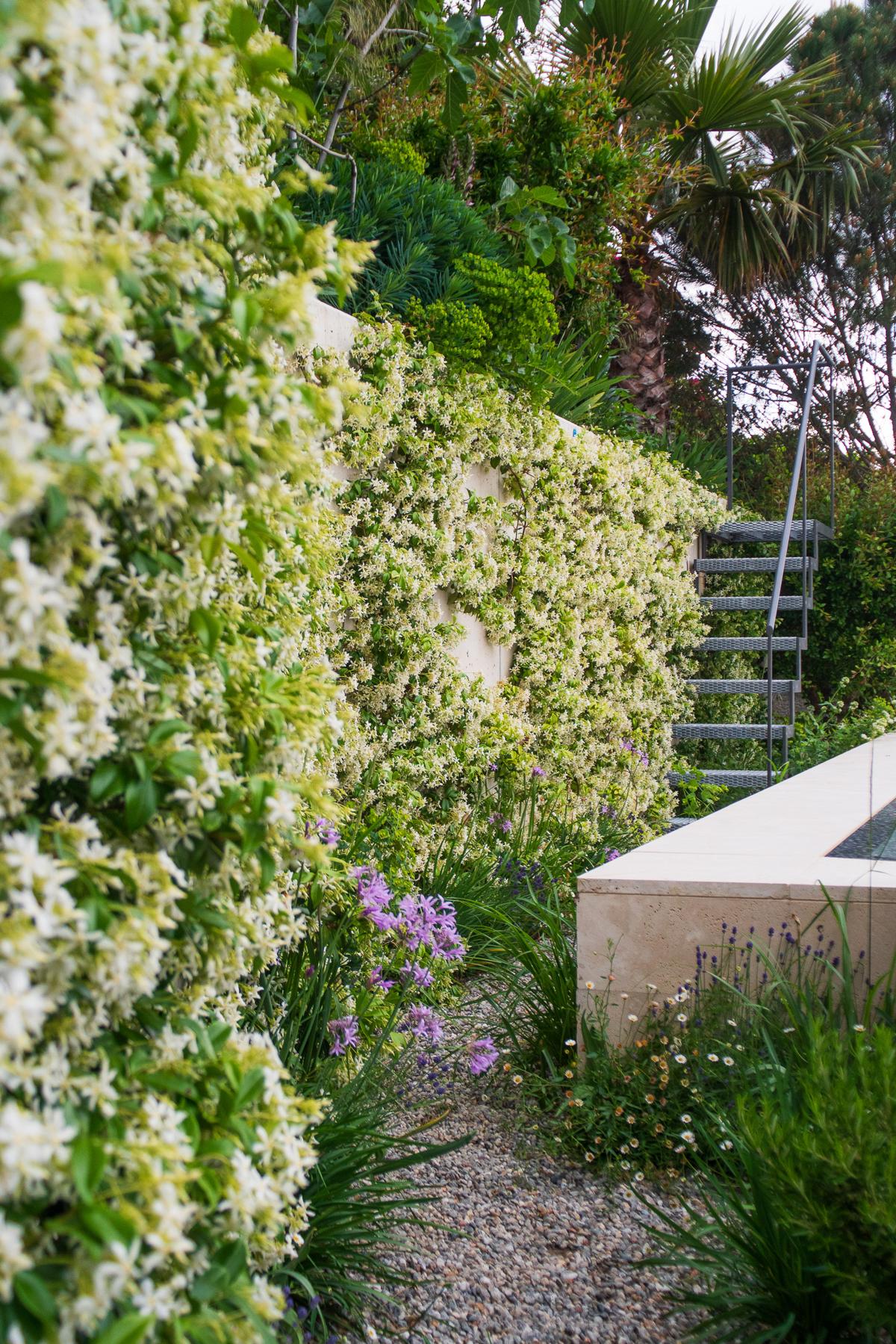 Mediterraner Garten mit blühenden Kletterpflanzen, Kiesbeet, violett blühenden Stauden und steingefasstem Wasserbecken neben einer Terrassentreppe.