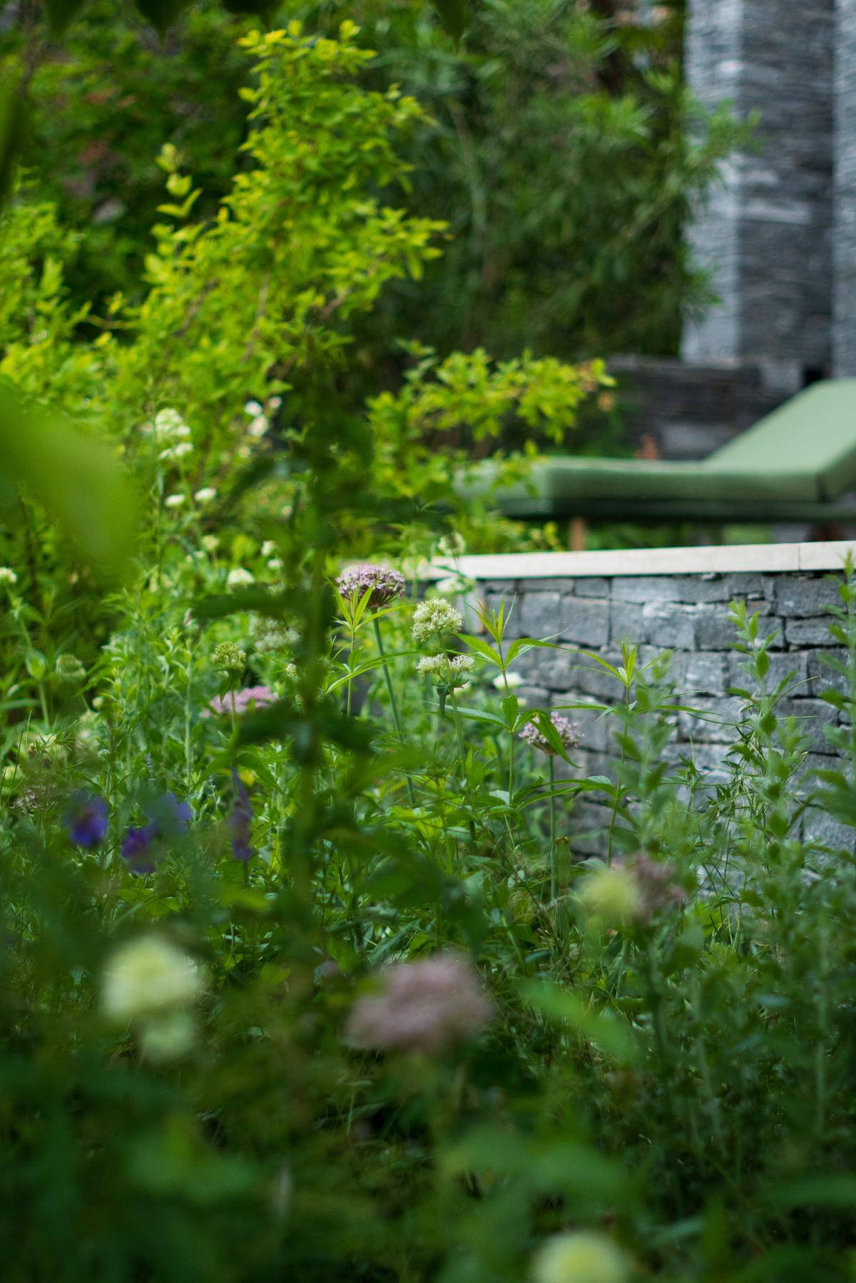 Vielschichtige naturnahe Staudenpflanzung vor einer erhöhten Lounge im terrassierten Garten am Lago Maggiore.