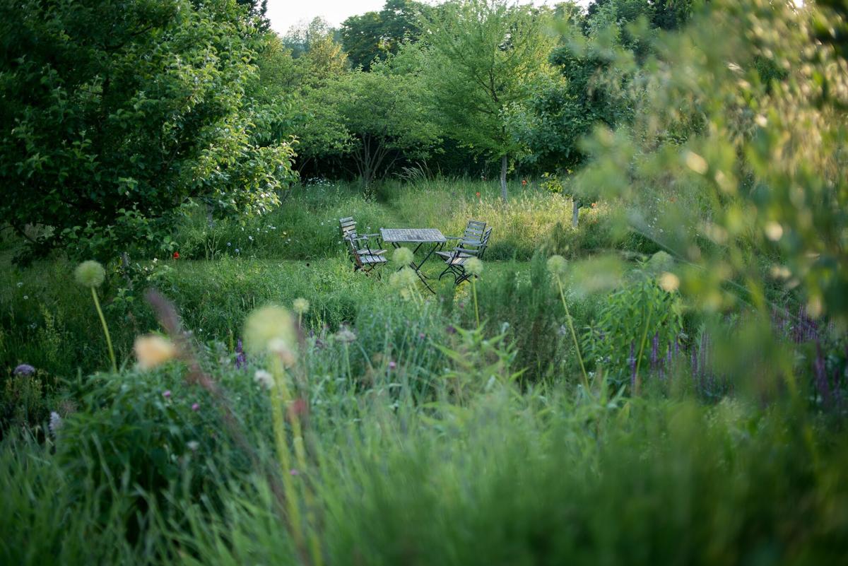 Obstwiese als naturnaher Übergang zwischen Garten und Landschaft.