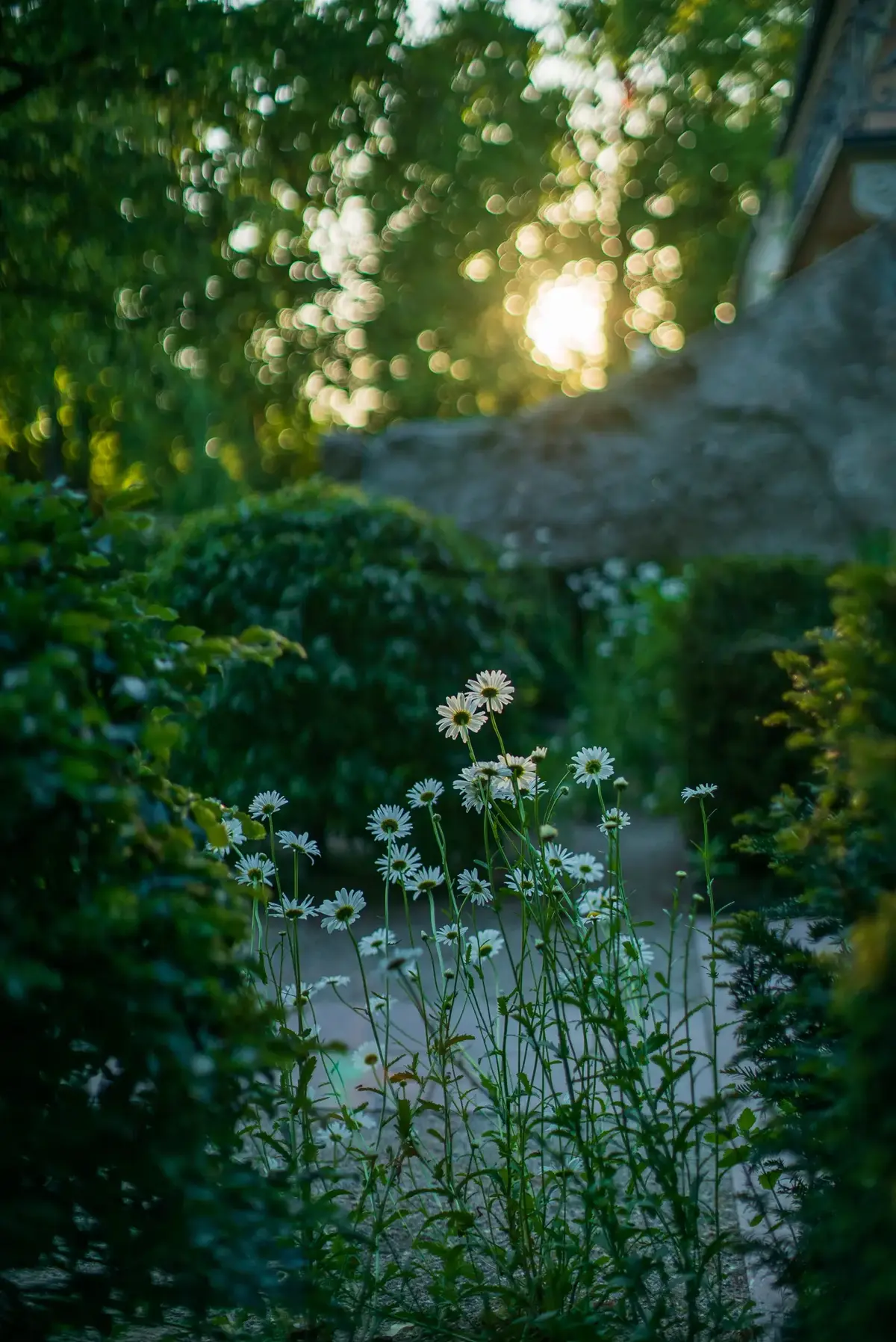 Castle garden at Schloss Leopoldskron with historic landscape character.