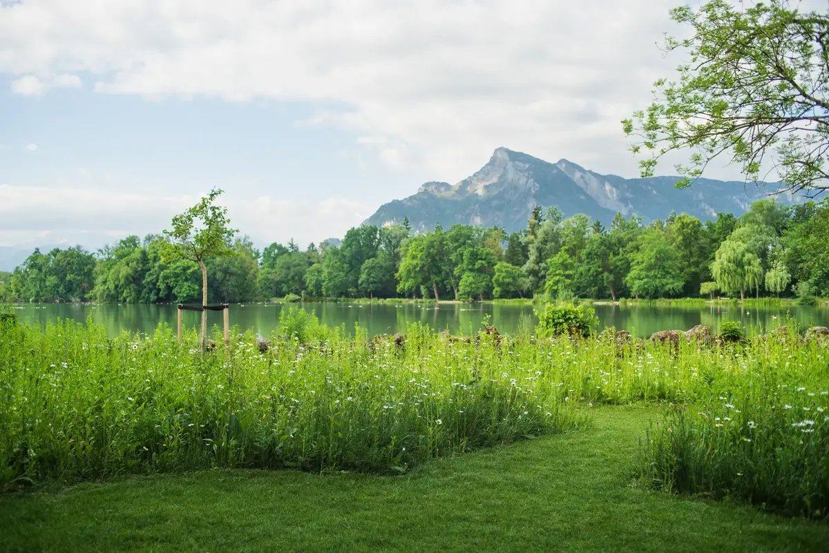 Schlossgarten Leopoldskron Salzburg Untersberg Wildblumenwiese