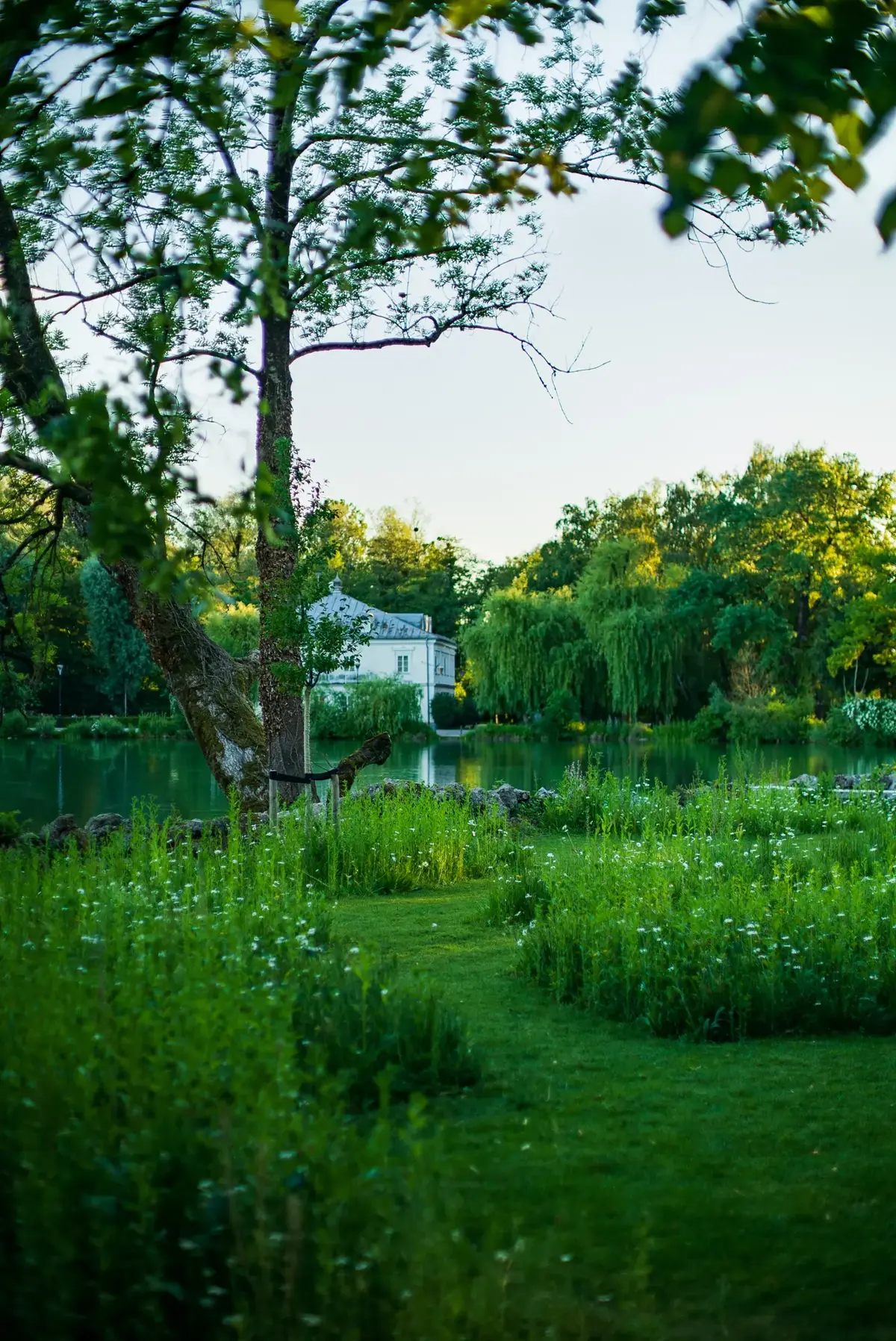 Schlossgarten Leopoldskron Schlossteich Abendlicht
