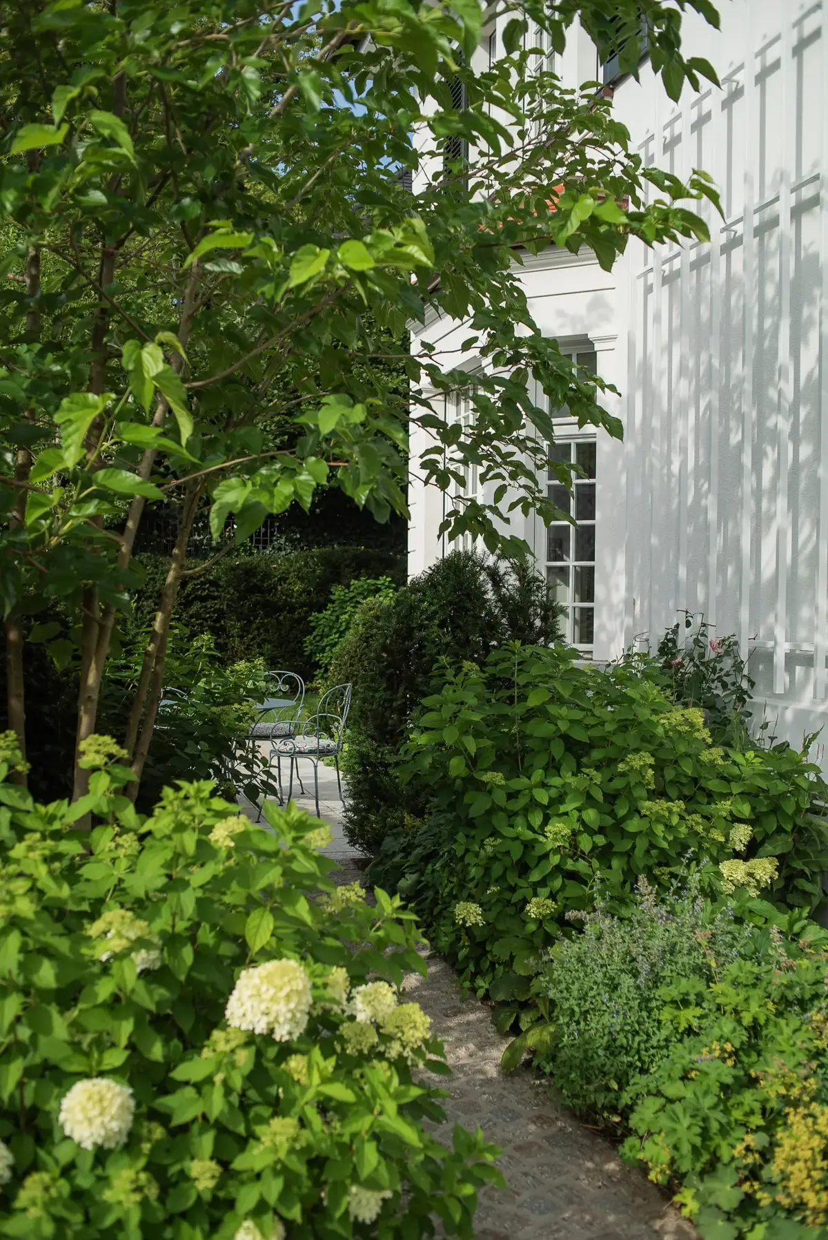 Verschlungener Gartenpfad mit Hortensien, Katzenminze und geschnittenen Hecken vor der klassischen Fassade der Münchner Stadtvilla.