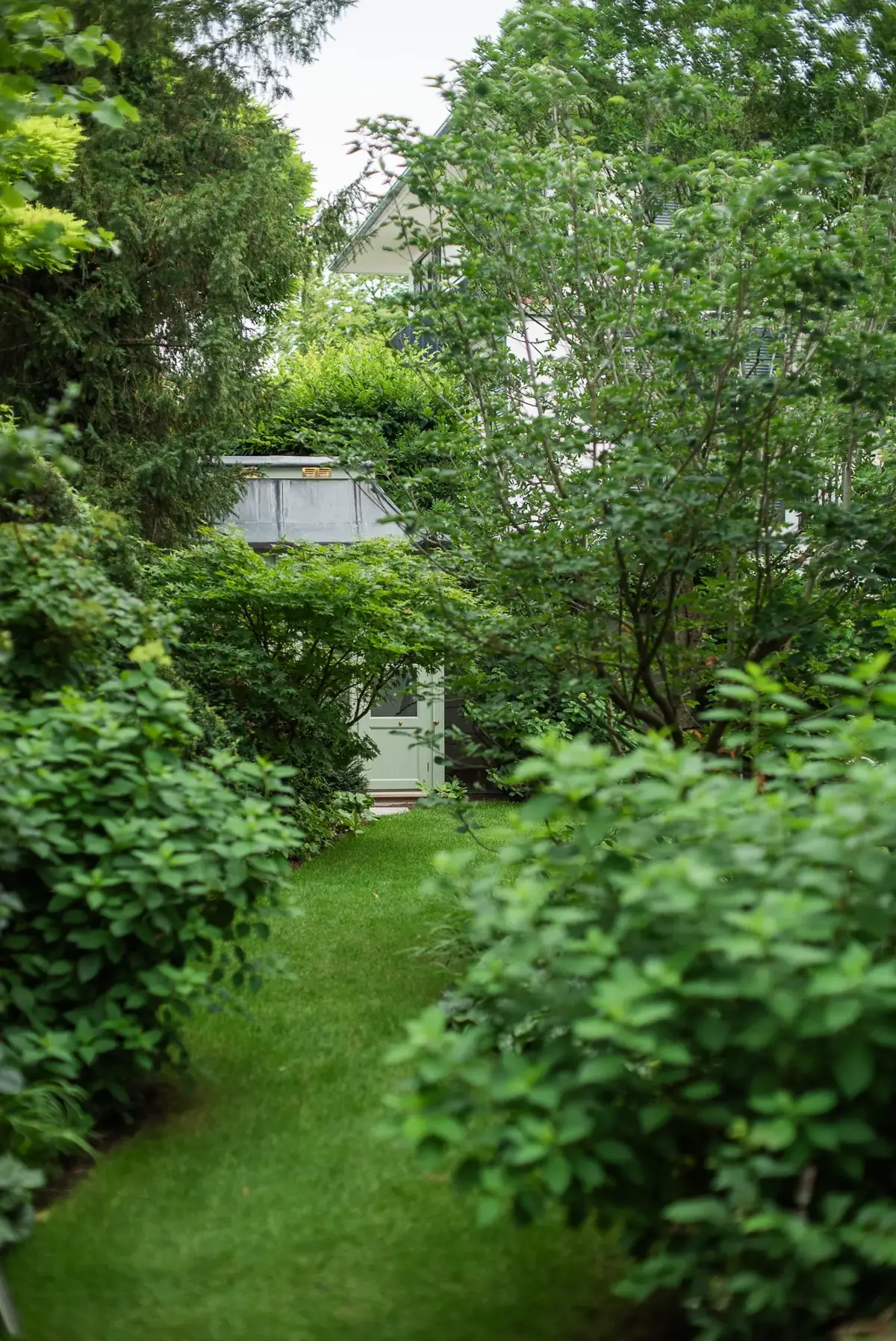 Schmaler Rasenweg im verwunschenen Schattengarten führt vorbei an Japanischem Ahorn und Eibenhecken zum Gartenhaus im Villengarten München.