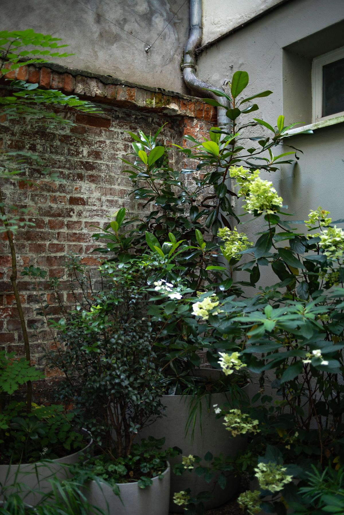 Atelier Wehrle, Berlin DE – Innenhof