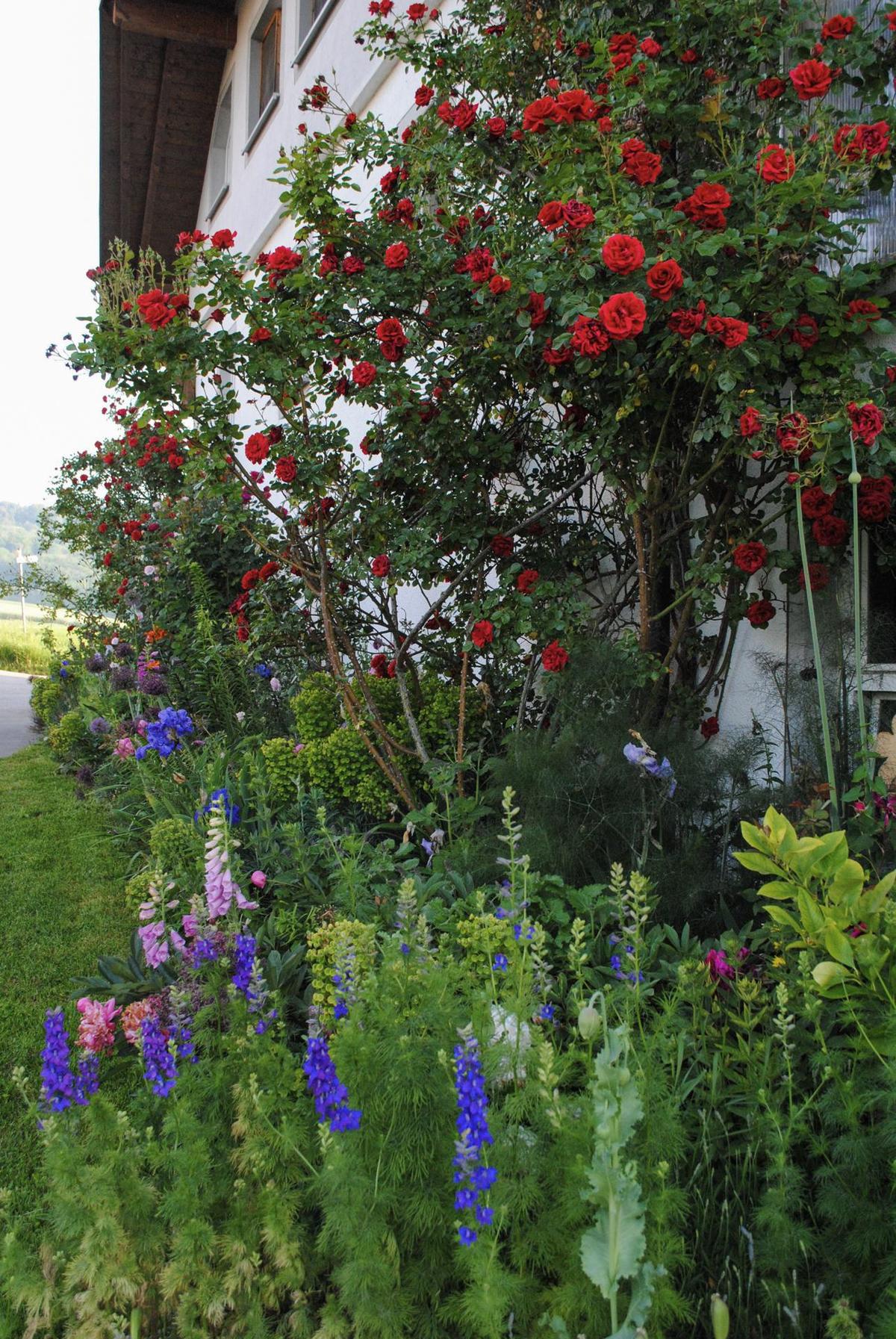 Atelier Wehrle, Bodensee DE – Bauerngarten